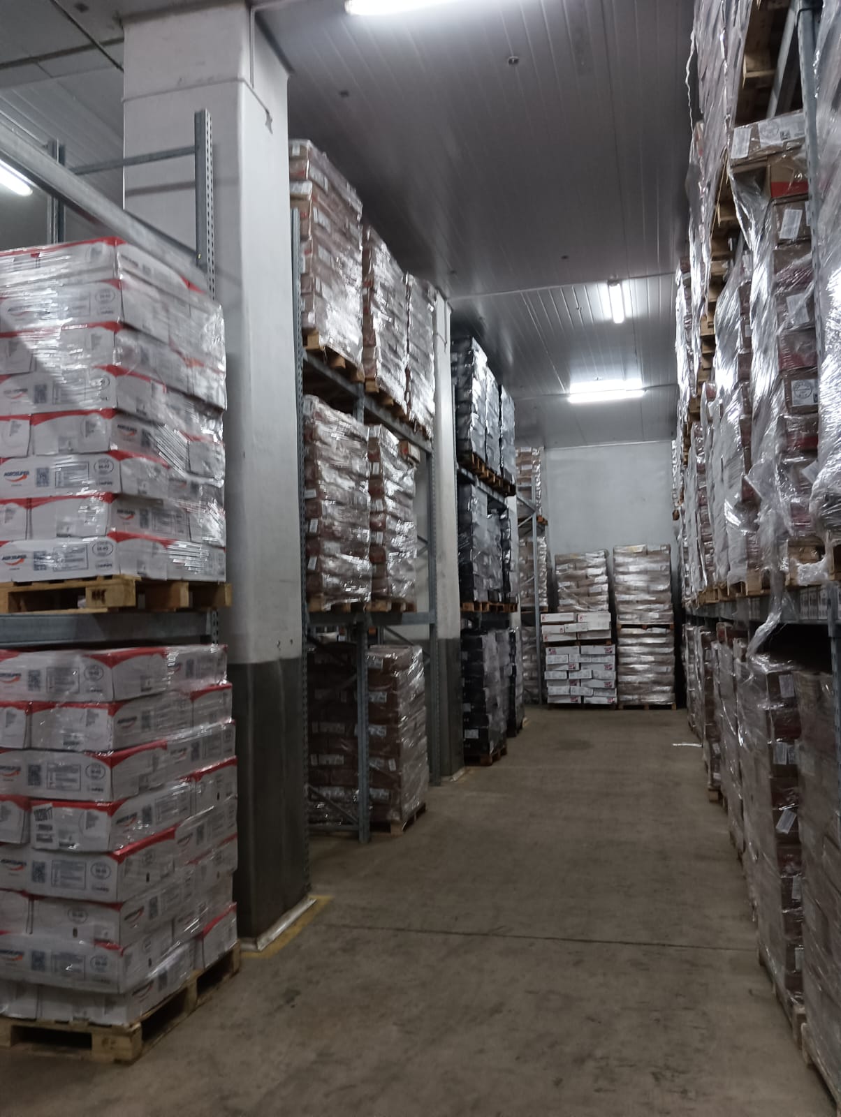 Cámara frigorífica con racking y pallets de productos cárnicos en Frigorífico Oneto, Constitución, CABA